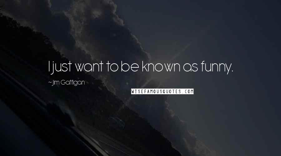 Jim Gaffigan Quotes: I just want to be known as funny.