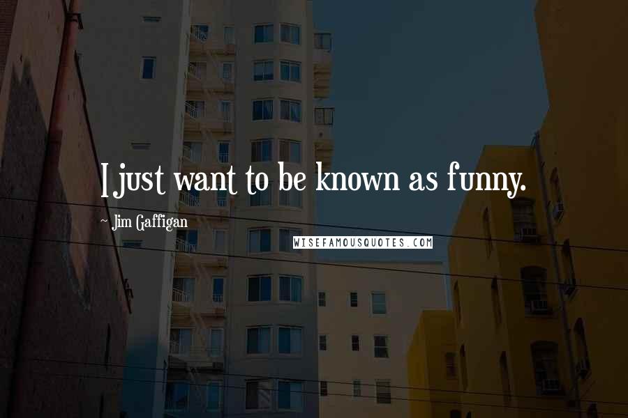 Jim Gaffigan Quotes: I just want to be known as funny.