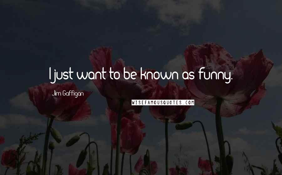 Jim Gaffigan Quotes: I just want to be known as funny.