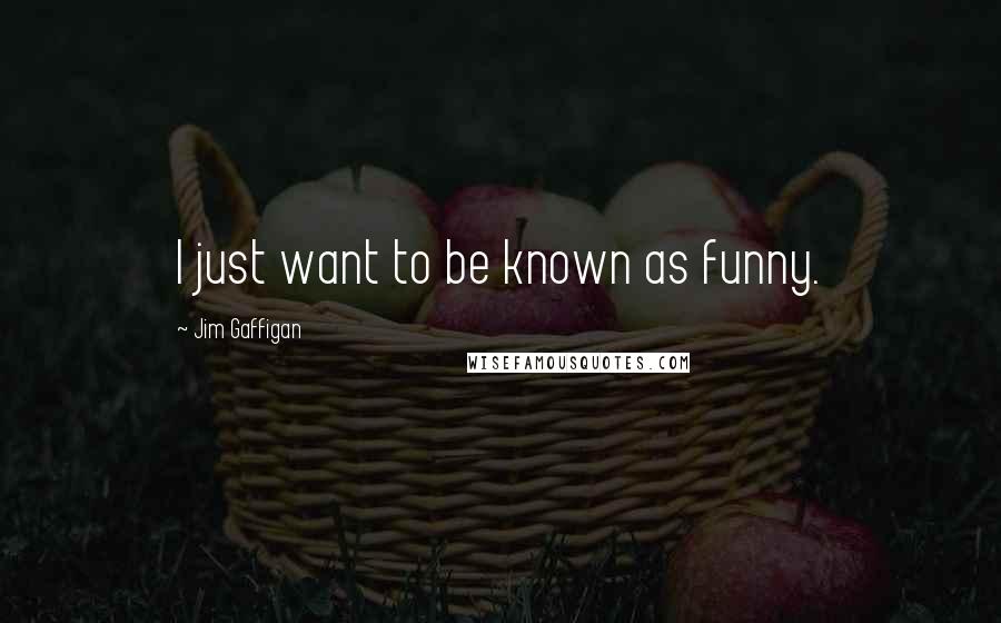 Jim Gaffigan Quotes: I just want to be known as funny.