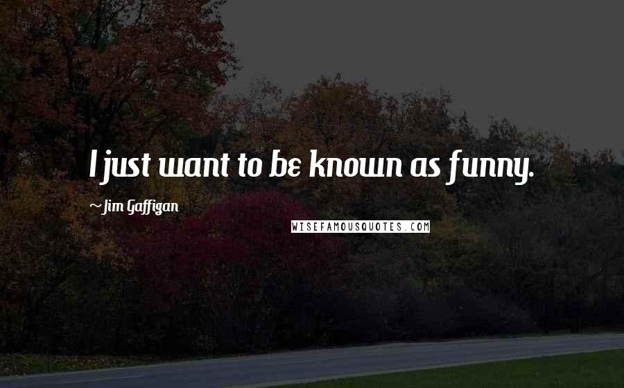 Jim Gaffigan Quotes: I just want to be known as funny.