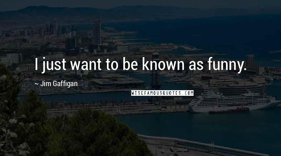 Jim Gaffigan Quotes: I just want to be known as funny.