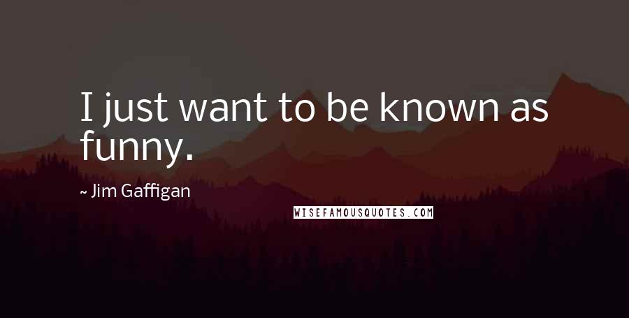 Jim Gaffigan Quotes: I just want to be known as funny.