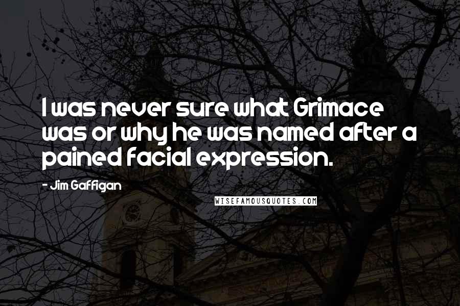 Jim Gaffigan Quotes: I was never sure what Grimace was or why he was named after a pained facial expression.