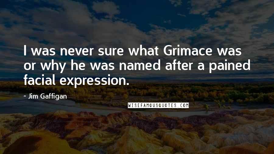 Jim Gaffigan Quotes: I was never sure what Grimace was or why he was named after a pained facial expression.