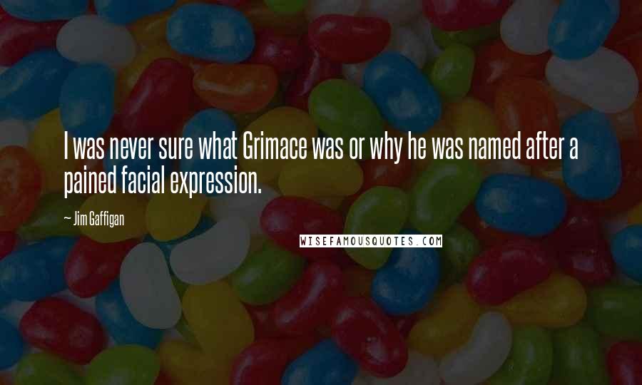 Jim Gaffigan Quotes: I was never sure what Grimace was or why he was named after a pained facial expression.