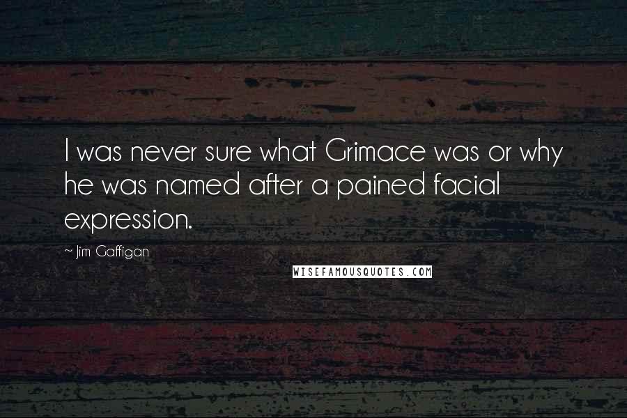 Jim Gaffigan Quotes: I was never sure what Grimace was or why he was named after a pained facial expression.