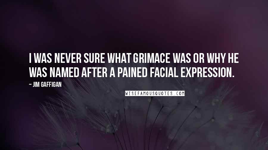 Jim Gaffigan Quotes: I was never sure what Grimace was or why he was named after a pained facial expression.