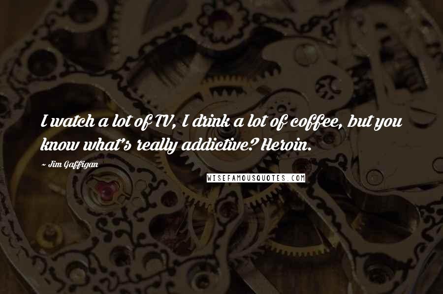 Jim Gaffigan Quotes: I watch a lot of TV, I drink a lot of coffee, but you know what's really addictive? Heroin.