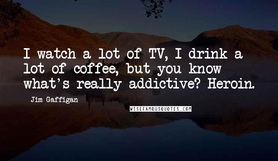 Jim Gaffigan Quotes: I watch a lot of TV, I drink a lot of coffee, but you know what's really addictive? Heroin.