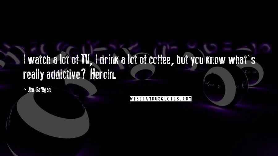 Jim Gaffigan Quotes: I watch a lot of TV, I drink a lot of coffee, but you know what's really addictive? Heroin.