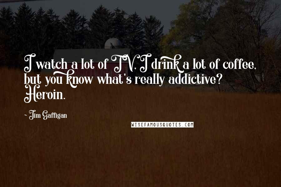 Jim Gaffigan Quotes: I watch a lot of TV, I drink a lot of coffee, but you know what's really addictive? Heroin.