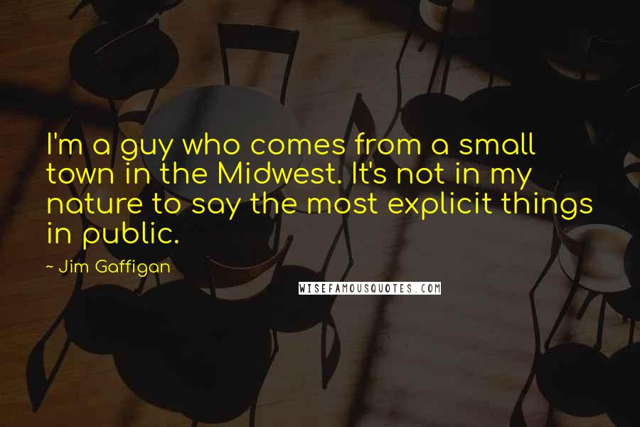 Jim Gaffigan Quotes: I'm a guy who comes from a small town in the Midwest. It's not in my nature to say the most explicit things in public.