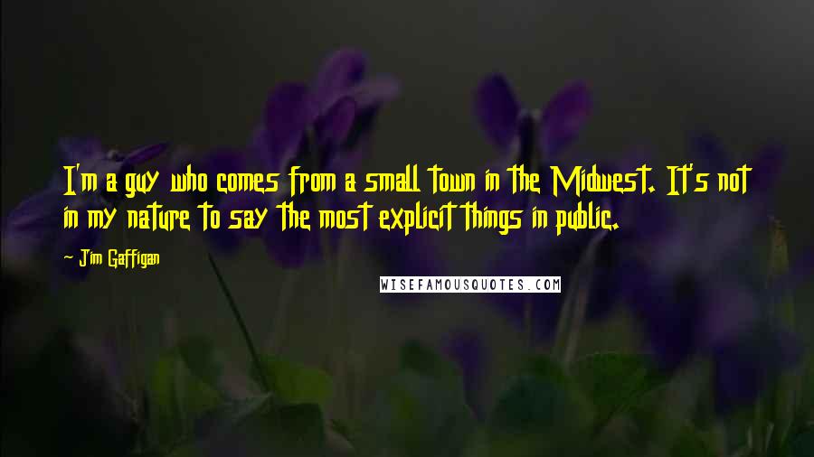Jim Gaffigan Quotes: I'm a guy who comes from a small town in the Midwest. It's not in my nature to say the most explicit things in public.