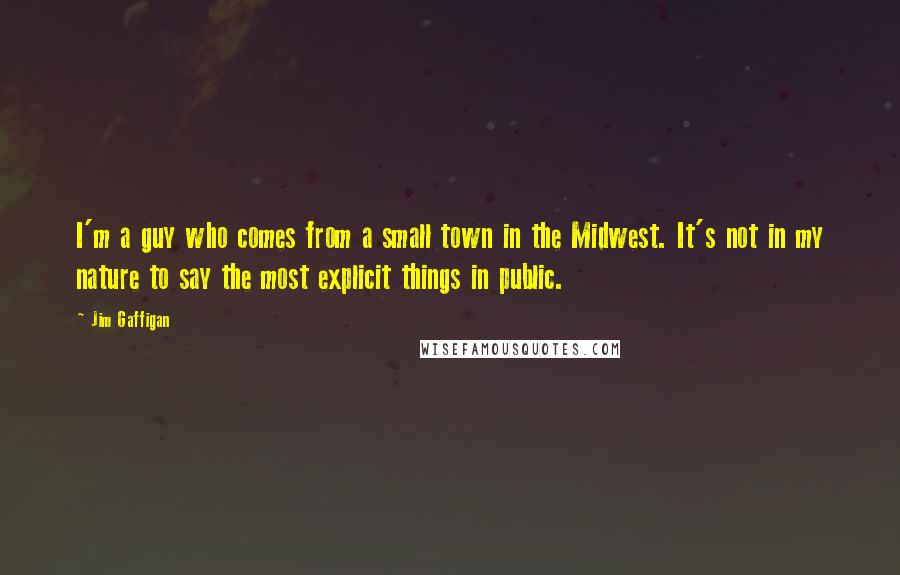 Jim Gaffigan Quotes: I'm a guy who comes from a small town in the Midwest. It's not in my nature to say the most explicit things in public.