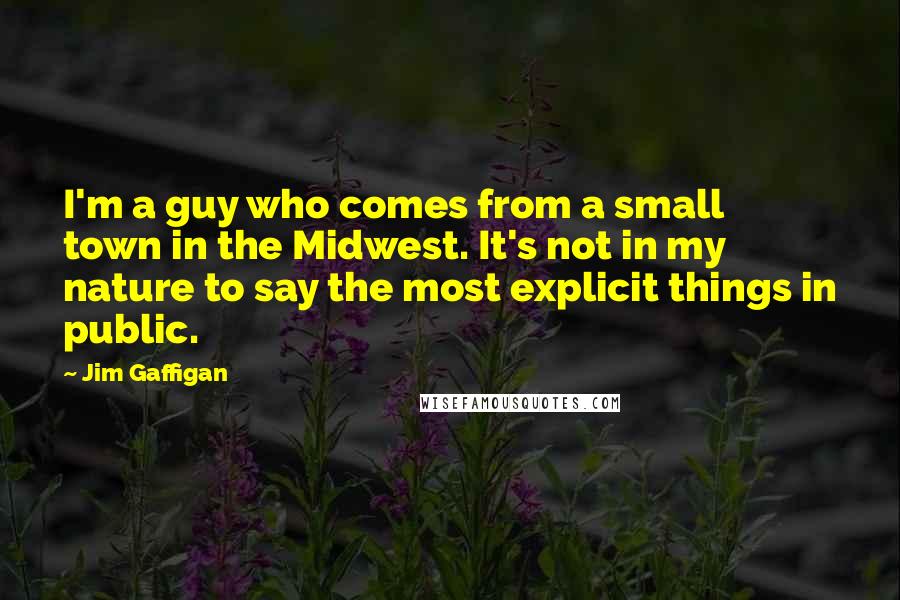 Jim Gaffigan Quotes: I'm a guy who comes from a small town in the Midwest. It's not in my nature to say the most explicit things in public.