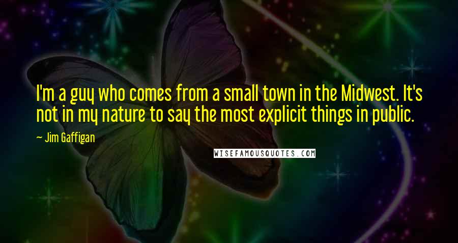 Jim Gaffigan Quotes: I'm a guy who comes from a small town in the Midwest. It's not in my nature to say the most explicit things in public.