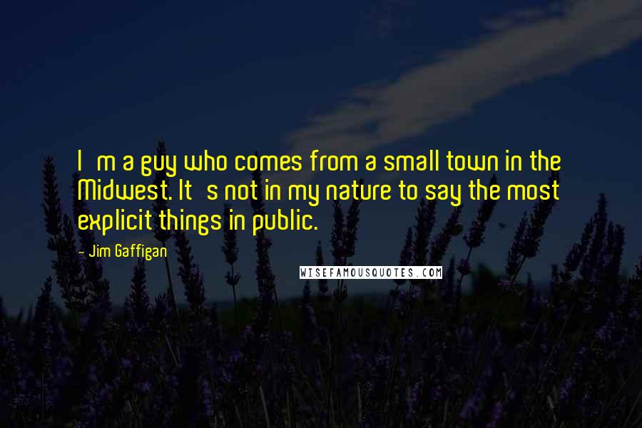 Jim Gaffigan Quotes: I'm a guy who comes from a small town in the Midwest. It's not in my nature to say the most explicit things in public.