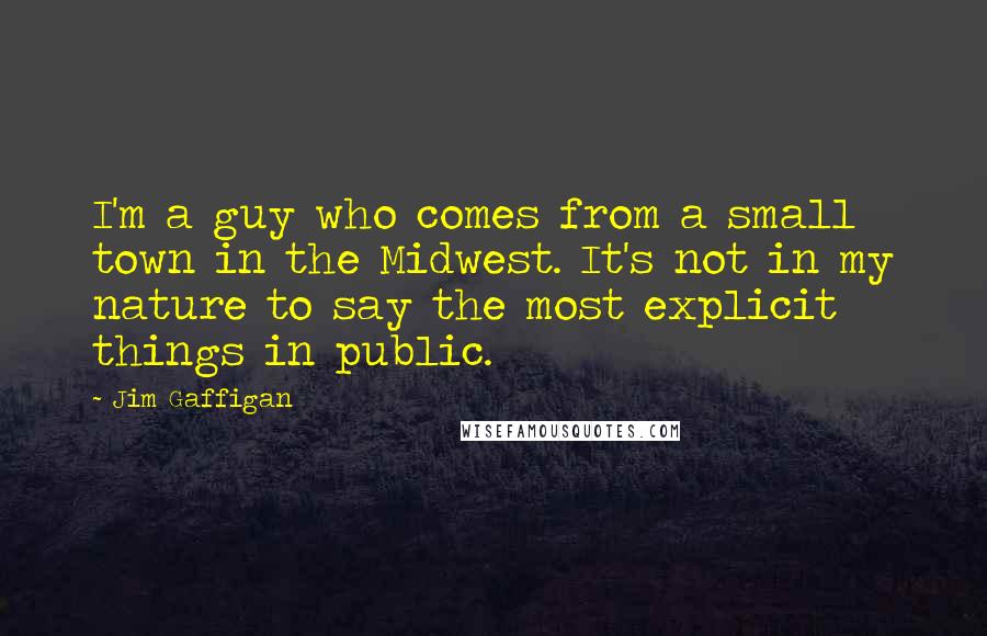 Jim Gaffigan Quotes: I'm a guy who comes from a small town in the Midwest. It's not in my nature to say the most explicit things in public.