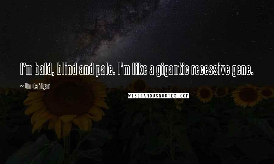 Jim Gaffigan Quotes: I'm bald, blind and pale. I'm like a gigantic recessive gene.