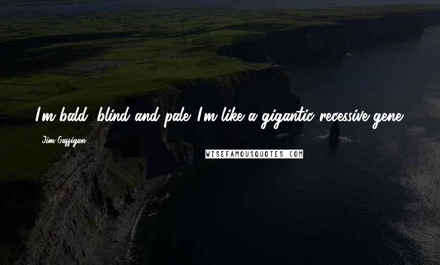 Jim Gaffigan Quotes: I'm bald, blind and pale. I'm like a gigantic recessive gene.