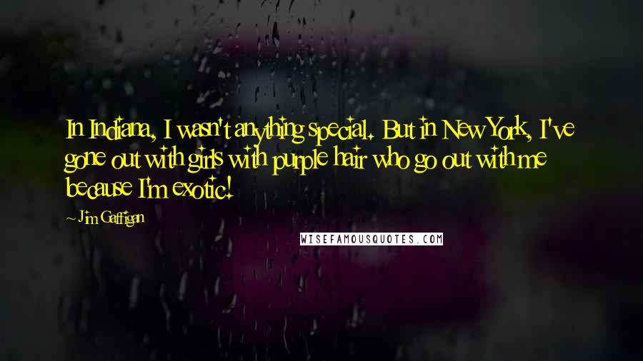 Jim Gaffigan Quotes: In Indiana, I wasn't anything special. But in New York, I've gone out with girls with purple hair who go out with me because I'm exotic!