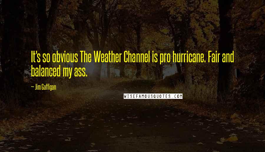 Jim Gaffigan Quotes: It's so obvious The Weather Channel is pro hurricane. Fair and balanced my ass.