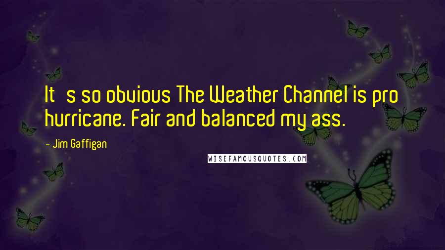 Jim Gaffigan Quotes: It's so obvious The Weather Channel is pro hurricane. Fair and balanced my ass.