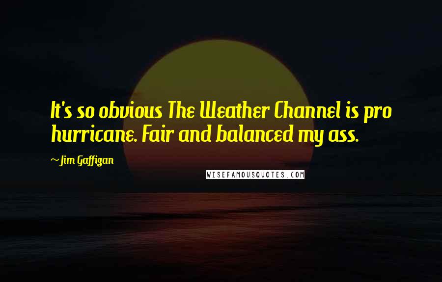 Jim Gaffigan Quotes: It's so obvious The Weather Channel is pro hurricane. Fair and balanced my ass.