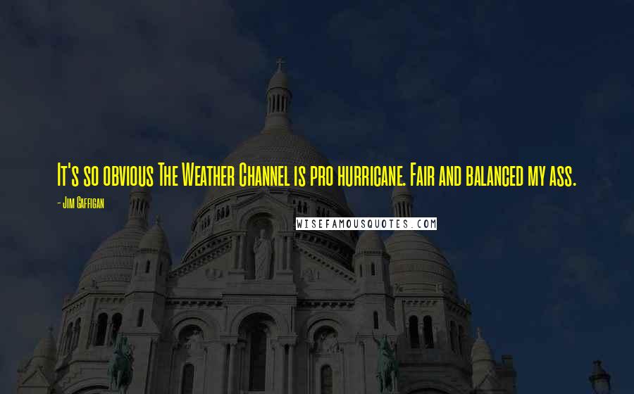 Jim Gaffigan Quotes: It's so obvious The Weather Channel is pro hurricane. Fair and balanced my ass.