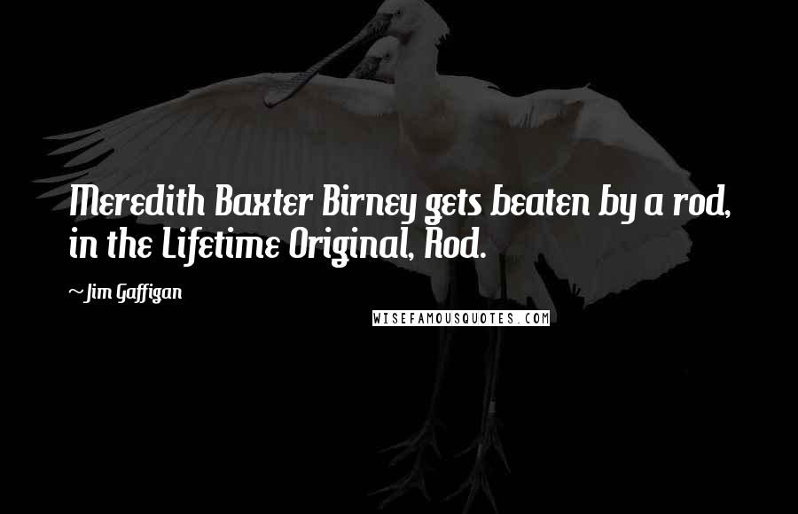 Jim Gaffigan Quotes: Meredith Baxter Birney gets beaten by a rod, in the Lifetime Original, Rod.