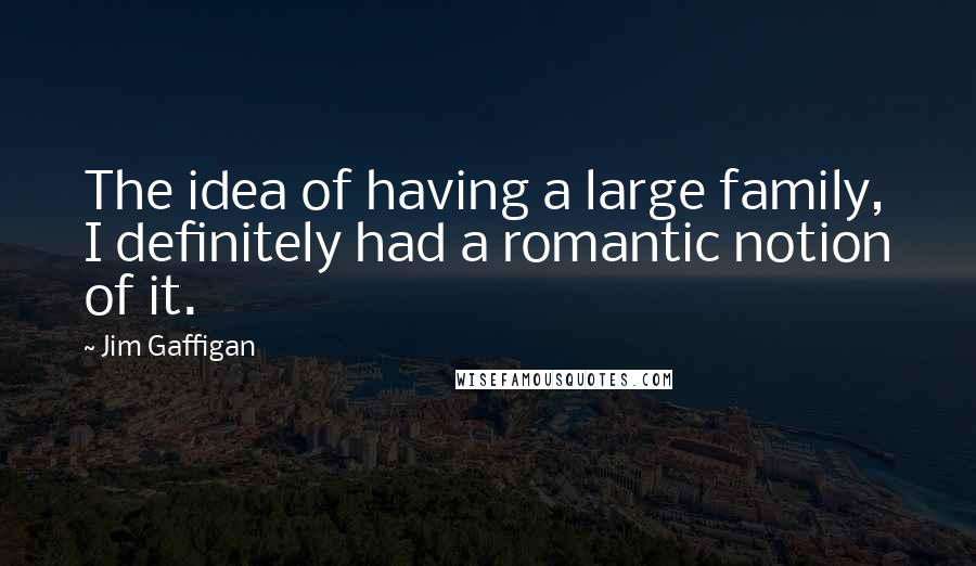 Jim Gaffigan Quotes: The idea of having a large family, I definitely had a romantic notion of it.