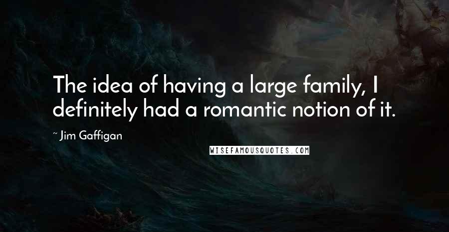 Jim Gaffigan Quotes: The idea of having a large family, I definitely had a romantic notion of it.