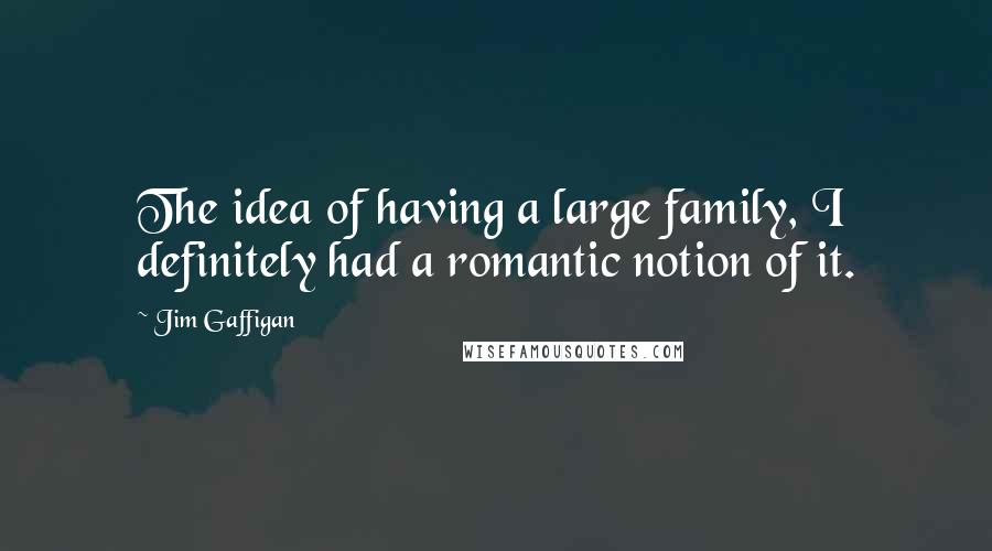 Jim Gaffigan Quotes: The idea of having a large family, I definitely had a romantic notion of it.