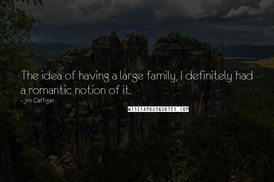 Jim Gaffigan Quotes: The idea of having a large family, I definitely had a romantic notion of it.