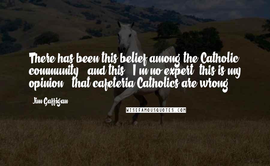 Jim Gaffigan Quotes: There has been this belief among the Catholic community - and this - I'm no expert, this is my opinion - that cafeteria Catholics are wrong.