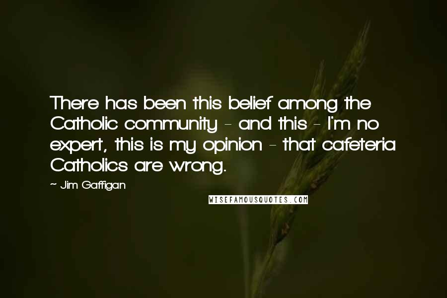 Jim Gaffigan Quotes: There has been this belief among the Catholic community - and this - I'm no expert, this is my opinion - that cafeteria Catholics are wrong.