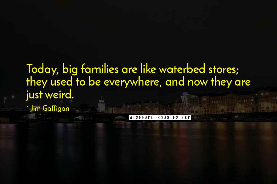 Jim Gaffigan Quotes: Today, big families are like waterbed stores; they used to be everywhere, and now they are just weird.