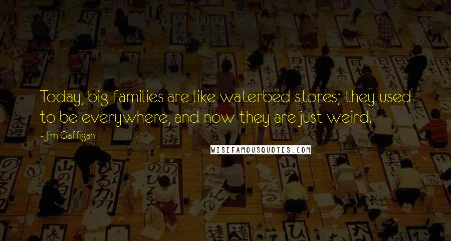 Jim Gaffigan Quotes: Today, big families are like waterbed stores; they used to be everywhere, and now they are just weird.
