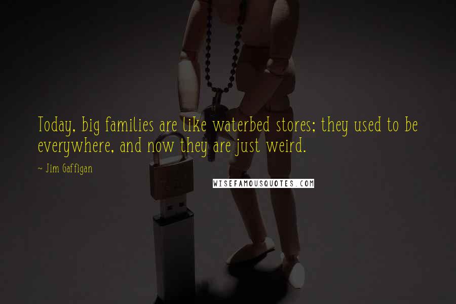Jim Gaffigan Quotes: Today, big families are like waterbed stores; they used to be everywhere, and now they are just weird.