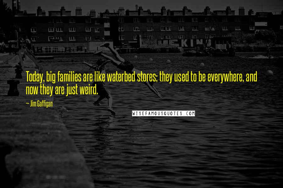 Jim Gaffigan Quotes: Today, big families are like waterbed stores; they used to be everywhere, and now they are just weird.