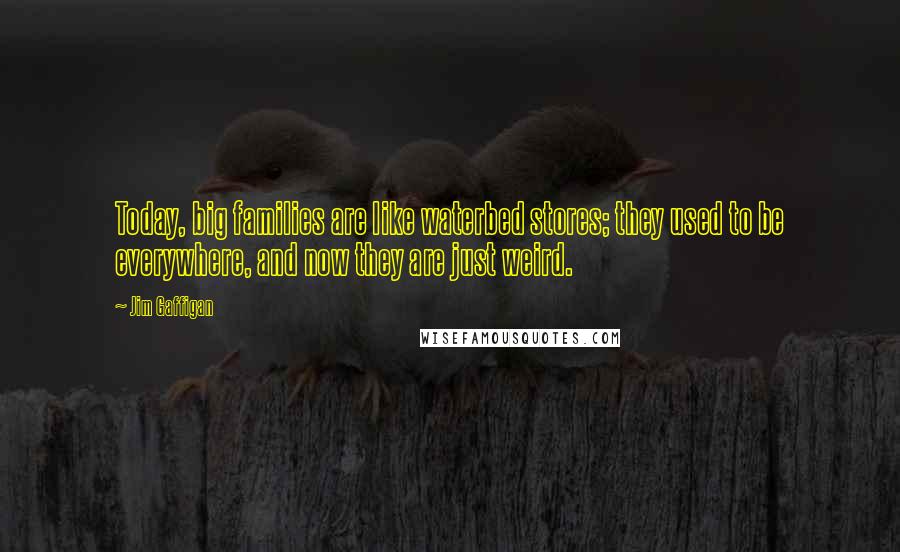 Jim Gaffigan Quotes: Today, big families are like waterbed stores; they used to be everywhere, and now they are just weird.