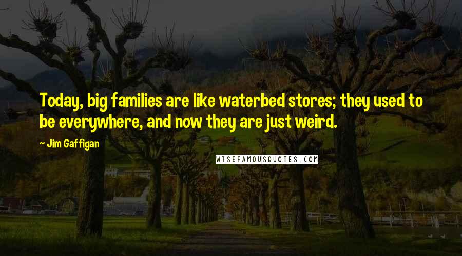Jim Gaffigan Quotes: Today, big families are like waterbed stores; they used to be everywhere, and now they are just weird.