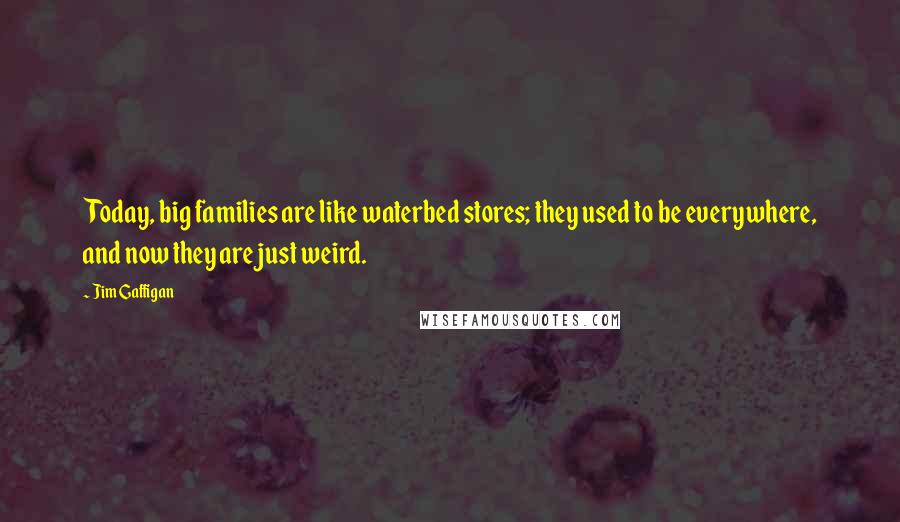 Jim Gaffigan Quotes: Today, big families are like waterbed stores; they used to be everywhere, and now they are just weird.