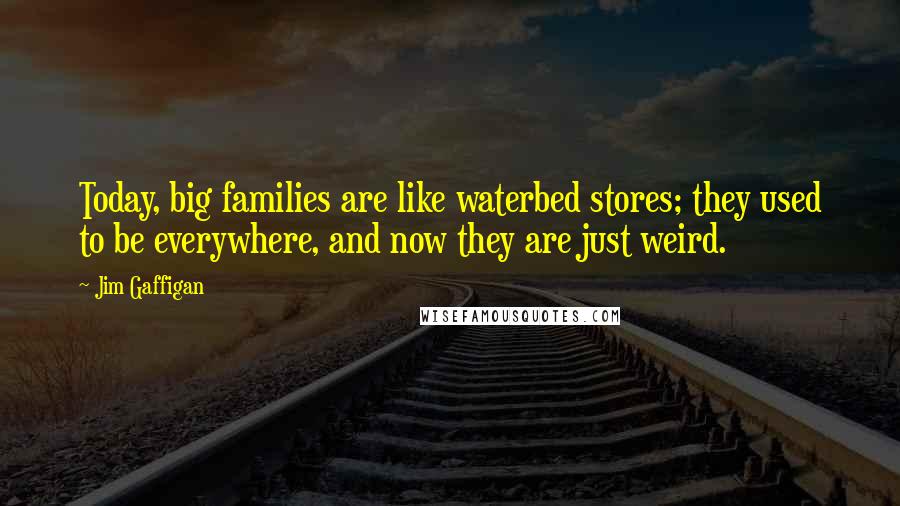 Jim Gaffigan Quotes: Today, big families are like waterbed stores; they used to be everywhere, and now they are just weird.