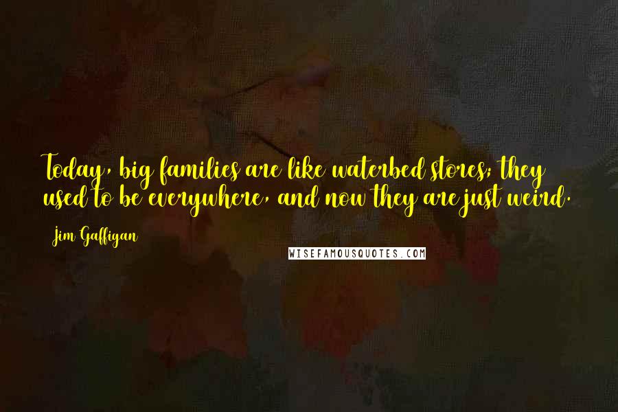 Jim Gaffigan Quotes: Today, big families are like waterbed stores; they used to be everywhere, and now they are just weird.