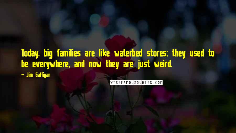 Jim Gaffigan Quotes: Today, big families are like waterbed stores; they used to be everywhere, and now they are just weird.