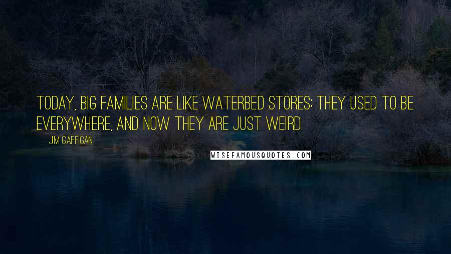 Jim Gaffigan Quotes: Today, big families are like waterbed stores; they used to be everywhere, and now they are just weird.