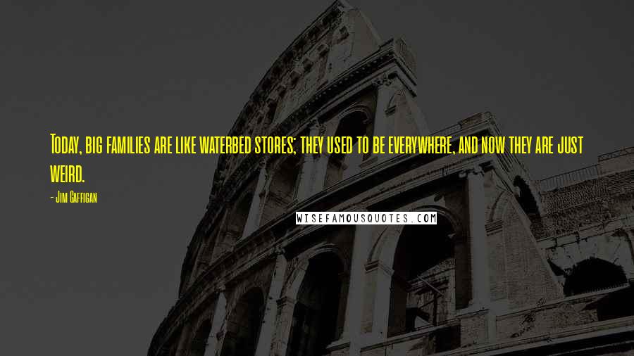 Jim Gaffigan Quotes: Today, big families are like waterbed stores; they used to be everywhere, and now they are just weird.