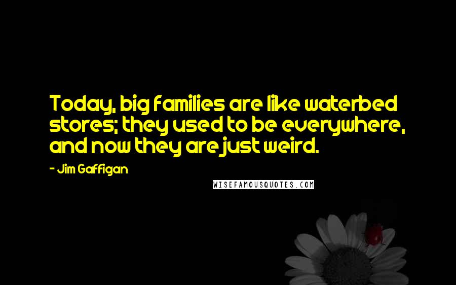 Jim Gaffigan Quotes: Today, big families are like waterbed stores; they used to be everywhere, and now they are just weird.